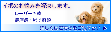 レーザー治療・無麻酔・局所麻酔