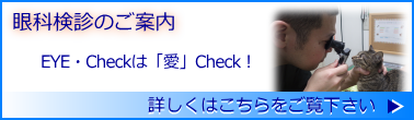 眼科検診のご案内