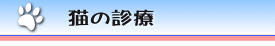 猫の診療