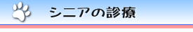 シニアの診療