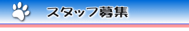 スタッフ募集