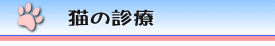 猫の診療