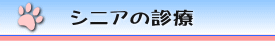 シニアの診療
