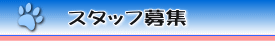 スタッフ募集